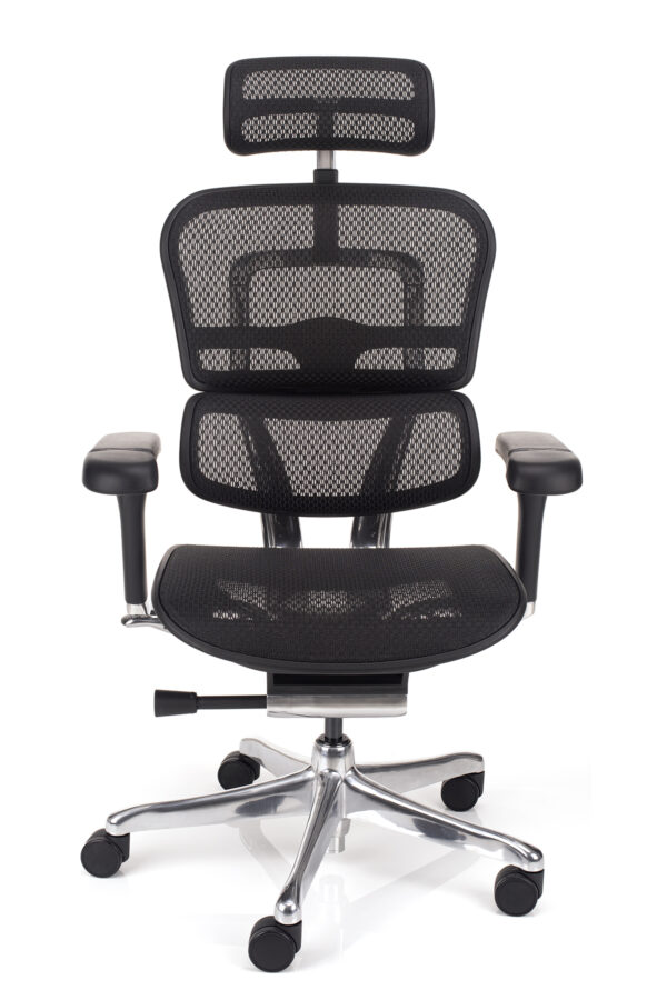 ergonomska uredska stolica ergohuman luxury