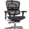 ergohuman elite uredska stolica u crnoj mrežici
