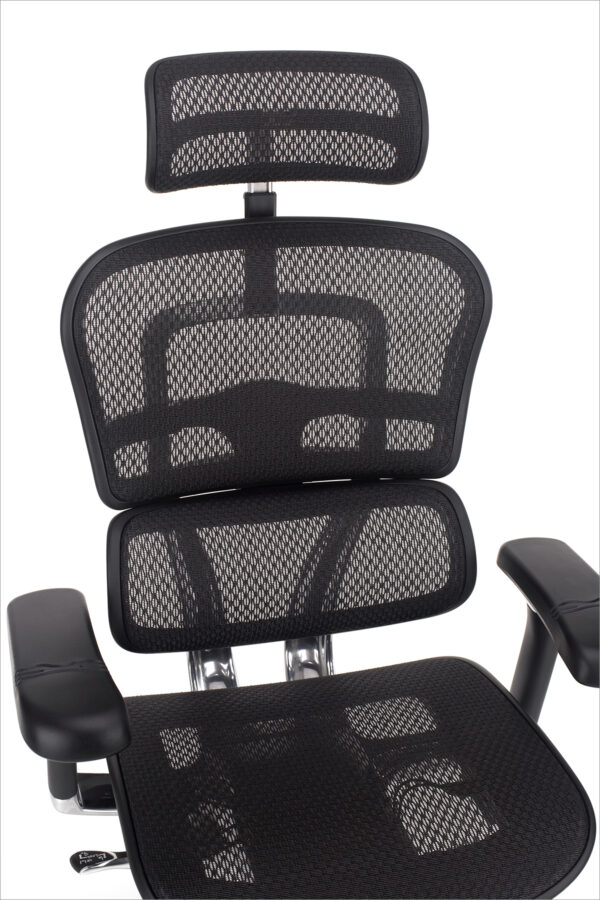 ergohuman luksuzni naslon za stolicu