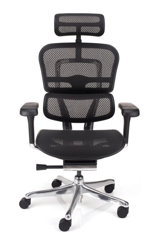 Ergohuman Elite ergonomska uredska stolica