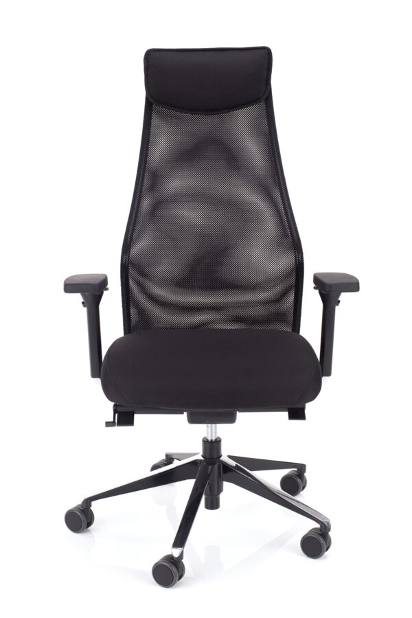 Eleganten pisarniški stol Dynamic Elegance