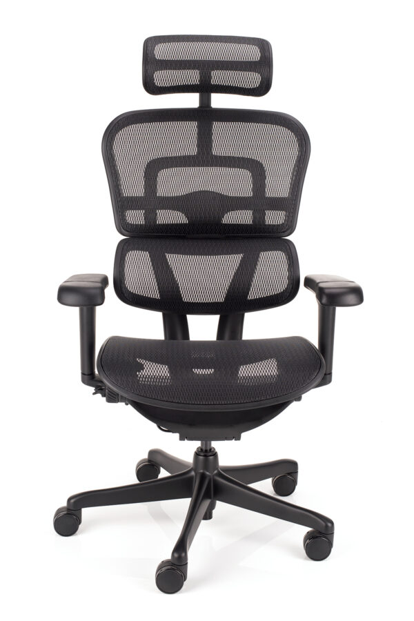Napredna uredska stolica Ergohuman ultra ALL BLACK