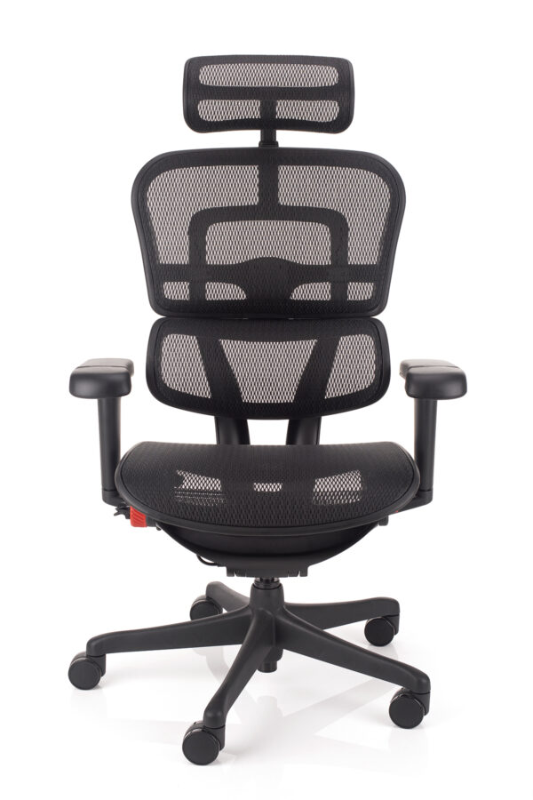 Gaming stol Ergohuman ultra crne barve