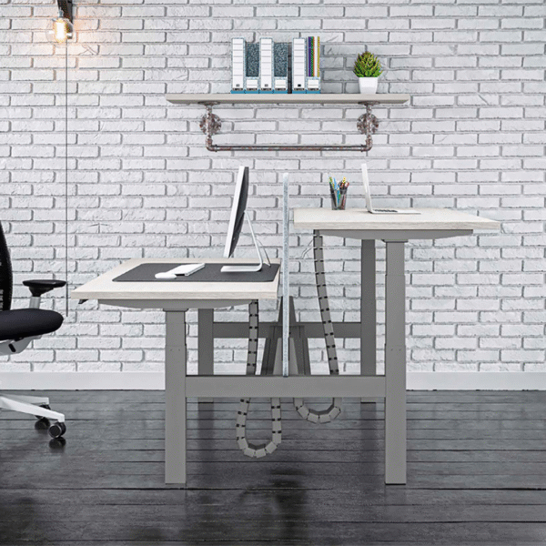 elektricna Dvojna dvizna miza double