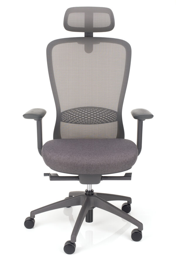 Ergonomski pisarniski stol Aeroflex Fx sive barve