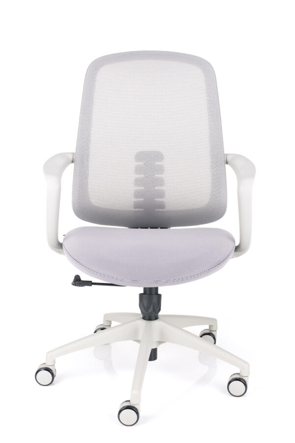 stol leaf sive barve 1