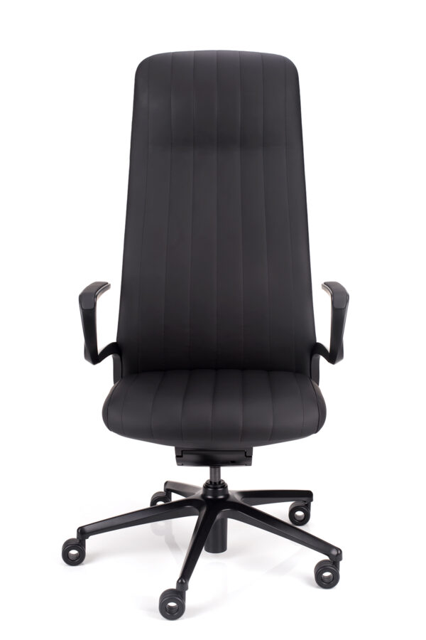 Lella kožna direktorska stolica u crnoj koži s crnim okvirom 1